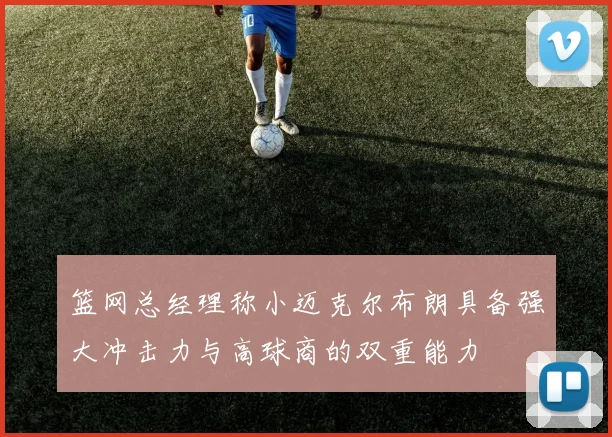 篮网总经理称小迈克尔布朗具备强大冲击力与高球商的双重能力