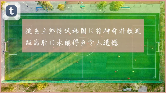 捷克主帅惊叹韩国门将神奇扑救近距离射门未能得分令人遗憾